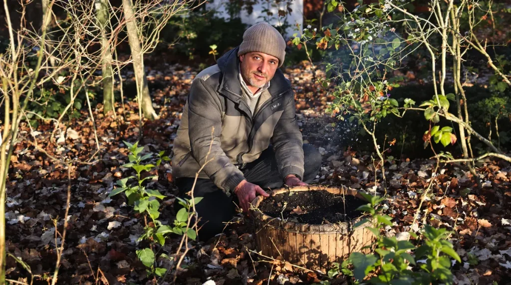 Jardiniers : cette vivace d’ombre méconnue illumine l’hiver, nourrit les abeilles et étouffe les mauvaises herbes