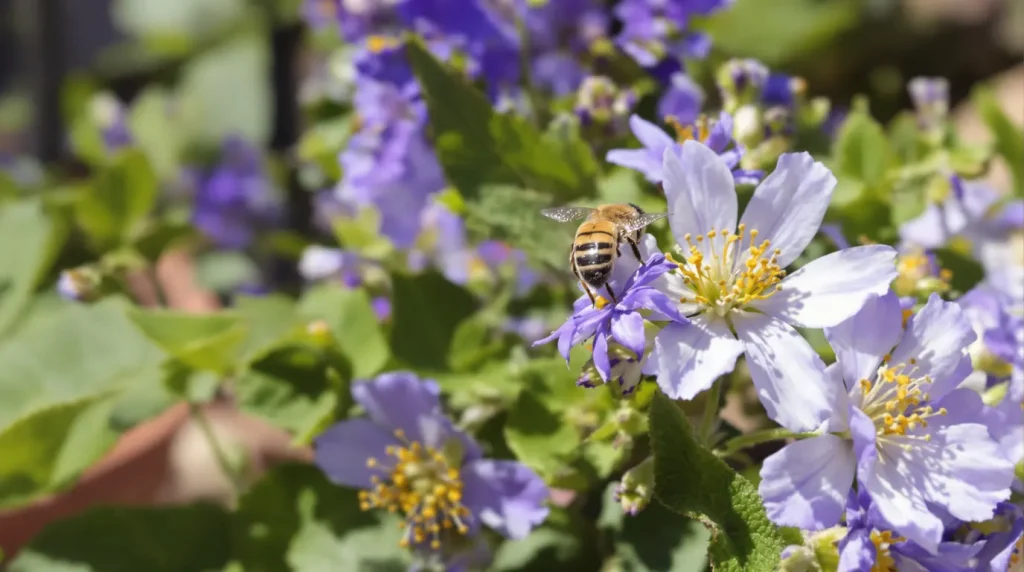 Si vous voulez vraiment aider les abeilles cette année, plantez ces 5 fleurs