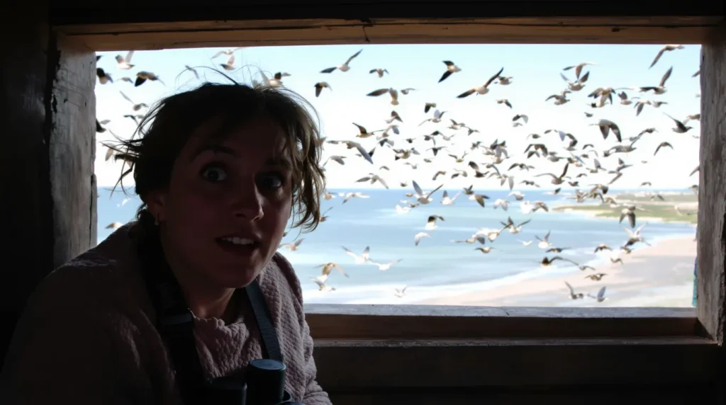 De la migration des oiseaux en baie de Somme à la vie en société, une réflexion sur notre écosystème