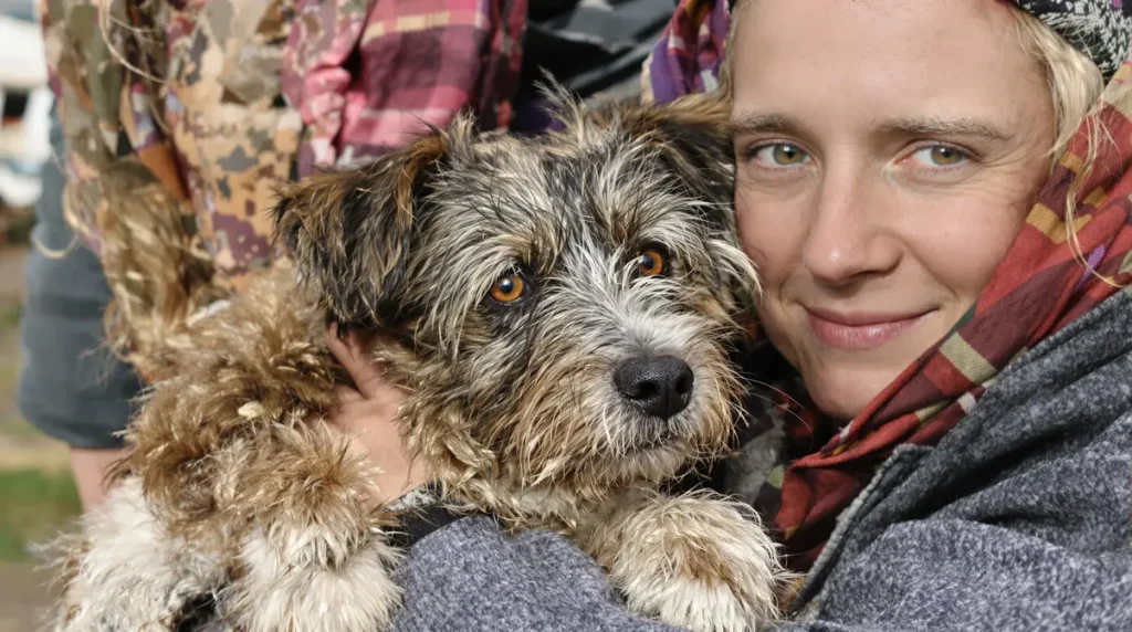 « J'ai continué d'y croire, mais j'ai tant pleuré » : Twix, le chien de Manon, survit onze jours seul dans la nature en Eure-et-Loir